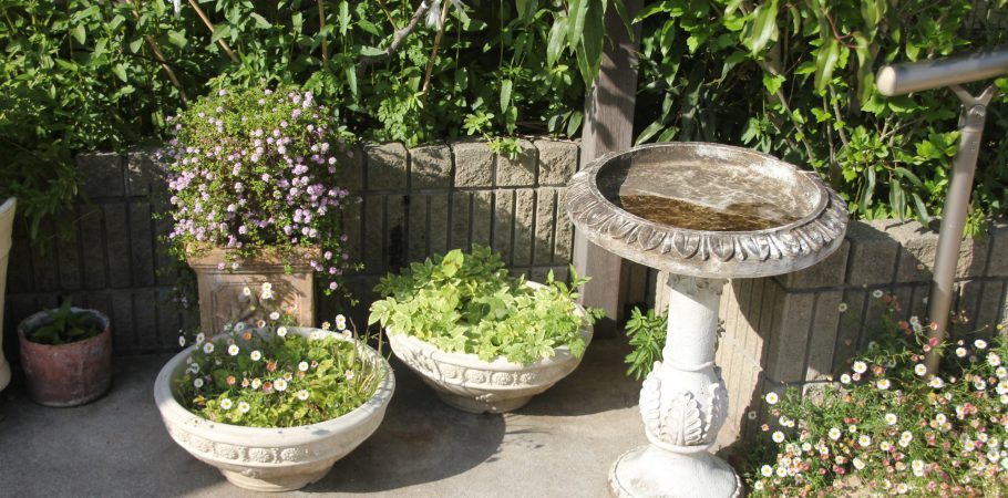 やつか耳鼻咽喉科photo