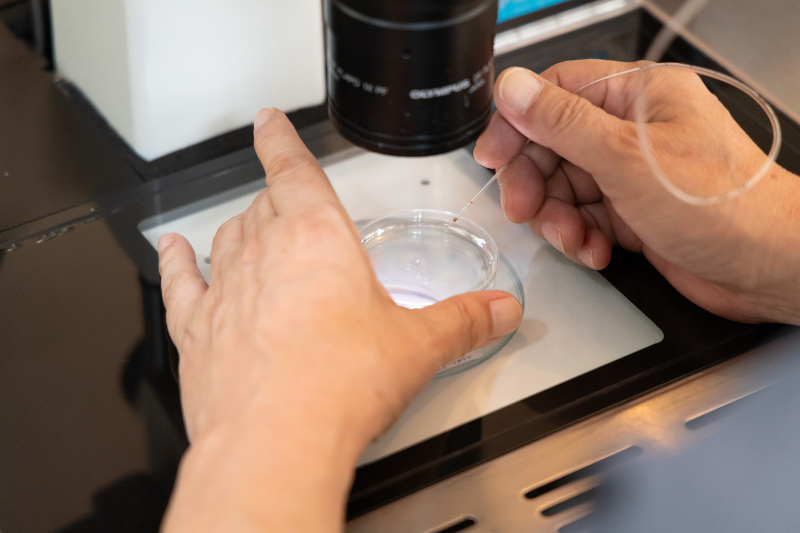 Kobaレディースクリニックphoto