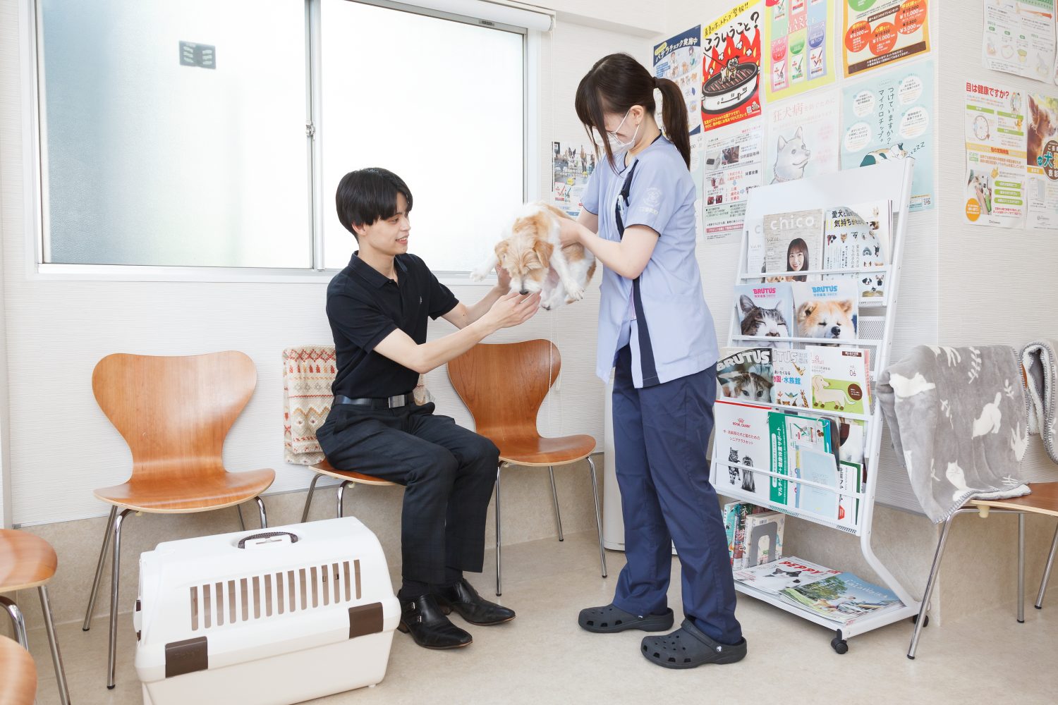 こひ動物病院photo