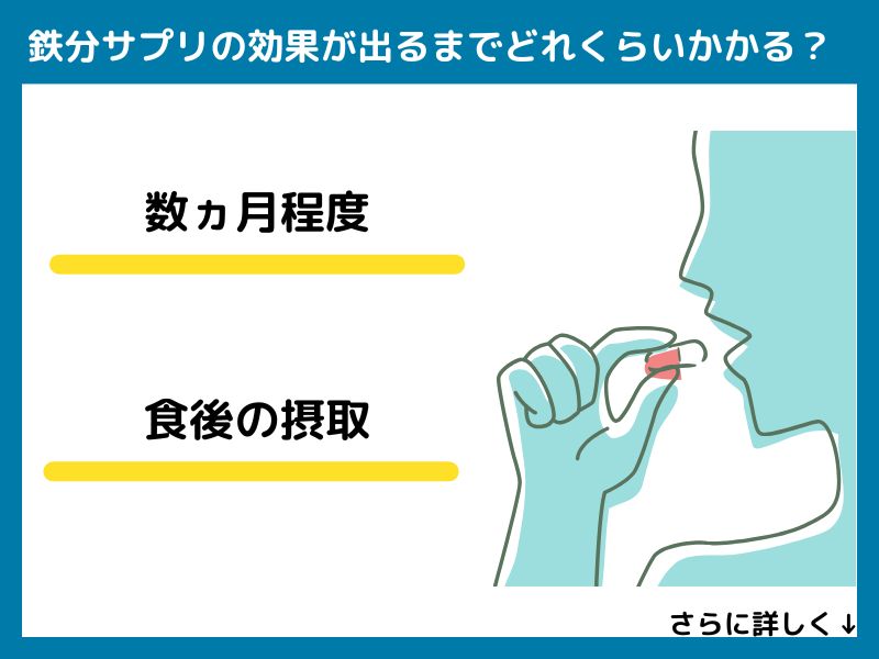 鉄分サプリの効果が出るまでどれくらいかかる？