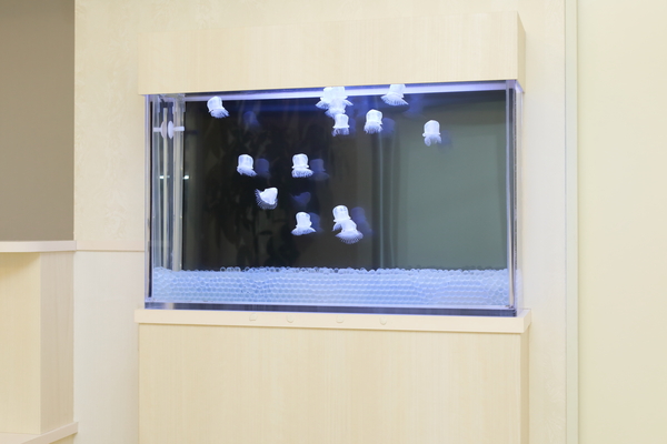 千葉北佐々木クリニックphoto