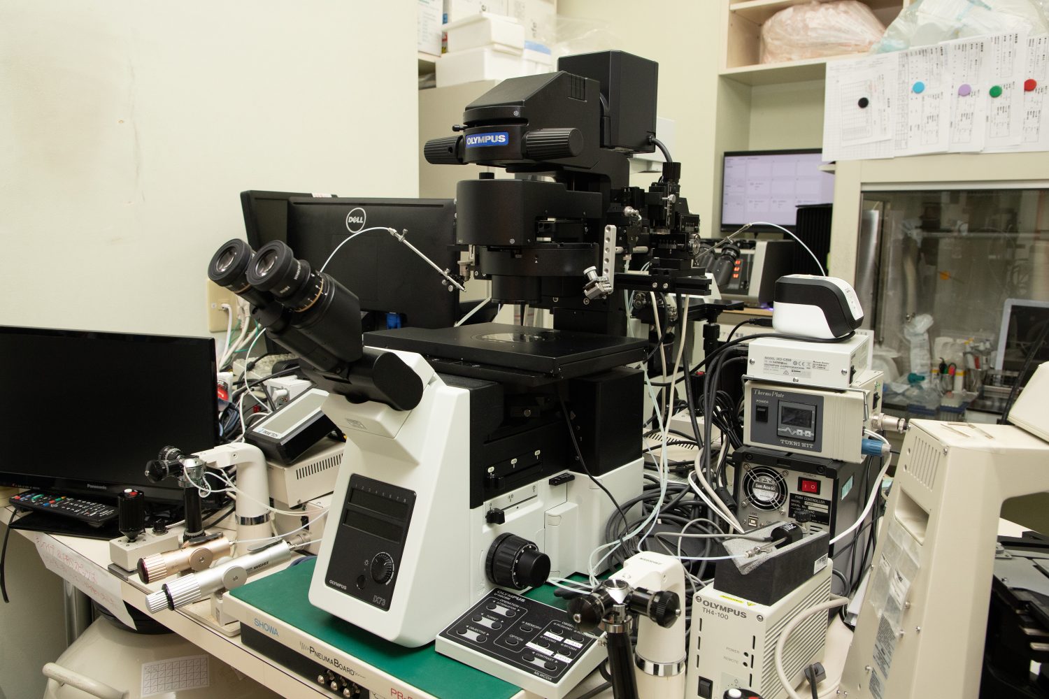 セントウィメンズクリニックphoto