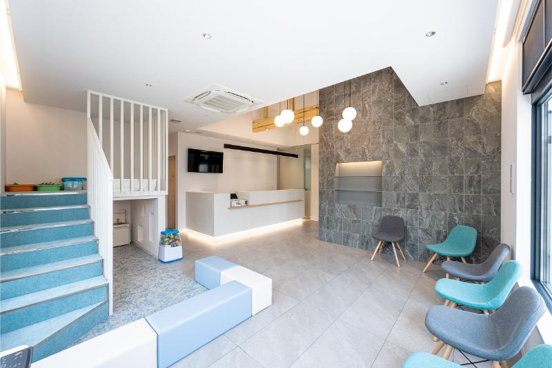 城南もちづき歯科こども歯科photo