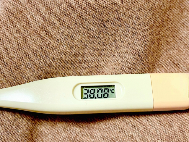 熱中症で発熱するメカニズム