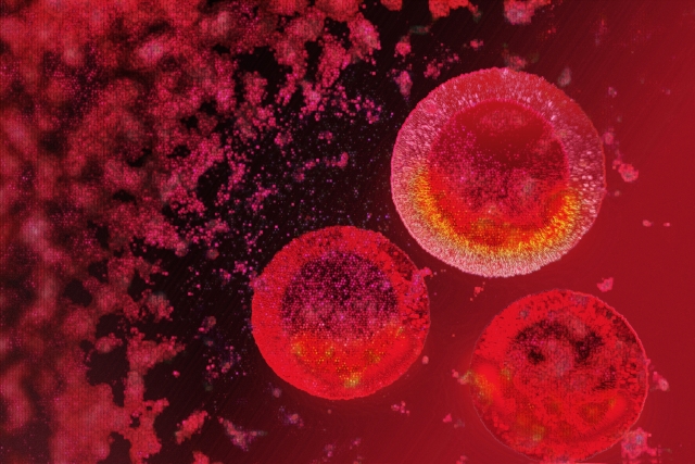 熱中症で吐き気が出る原因