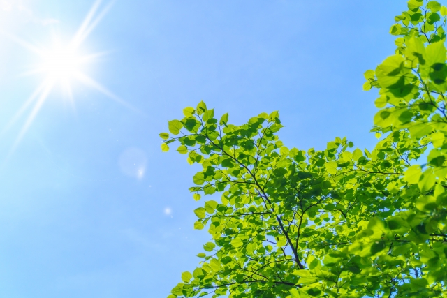 熱中症を引き起こしやすい環境