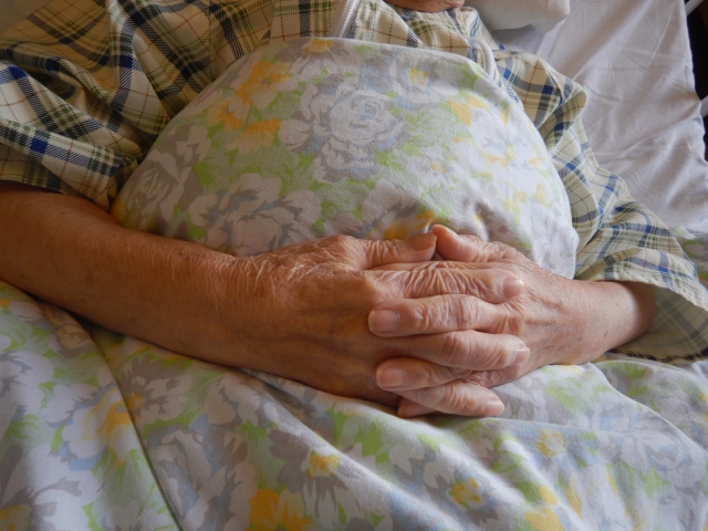 熱中症による嘔吐を治療する方法と嘔吐後の過ごし方