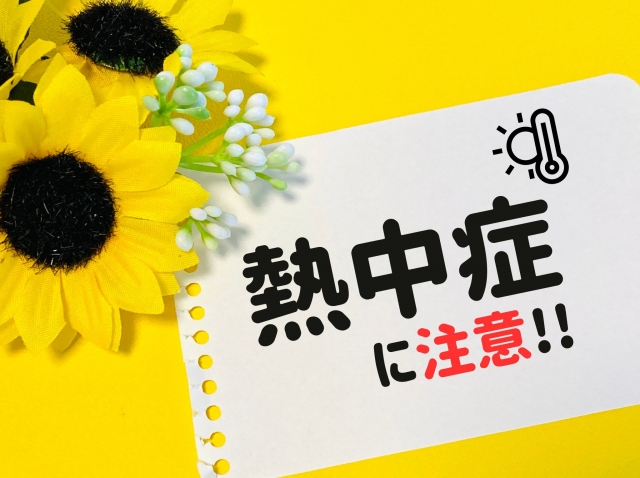子どもの熱中症の症状について