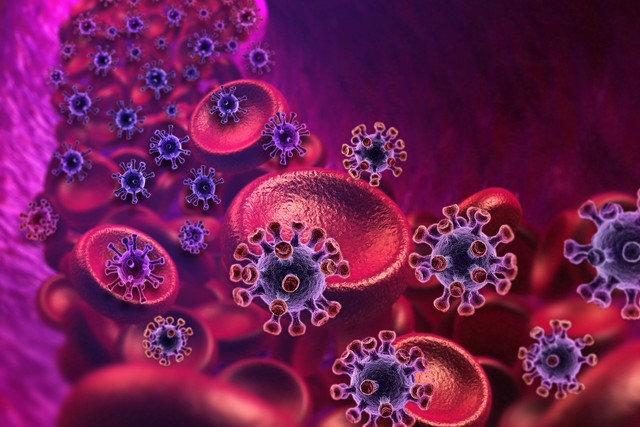 なぜ標準治療が「一番効く」のか？