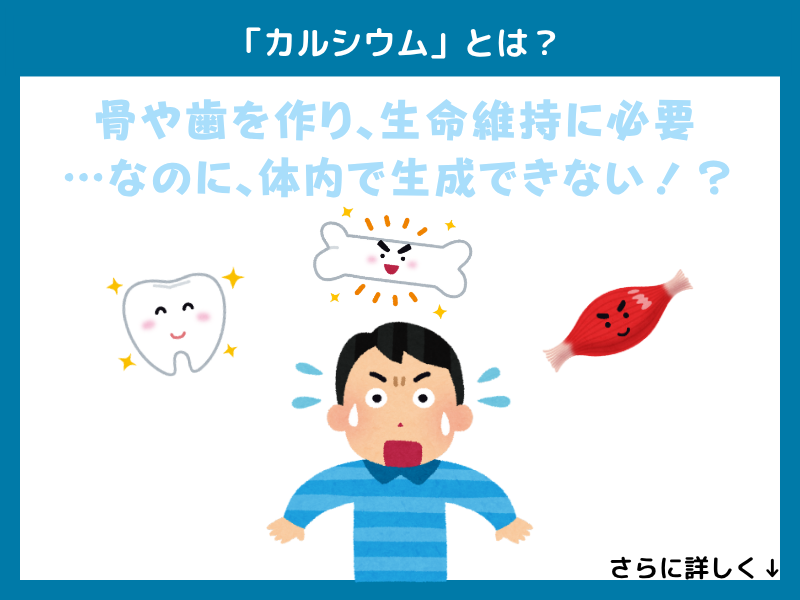 「カルシウム」とは？