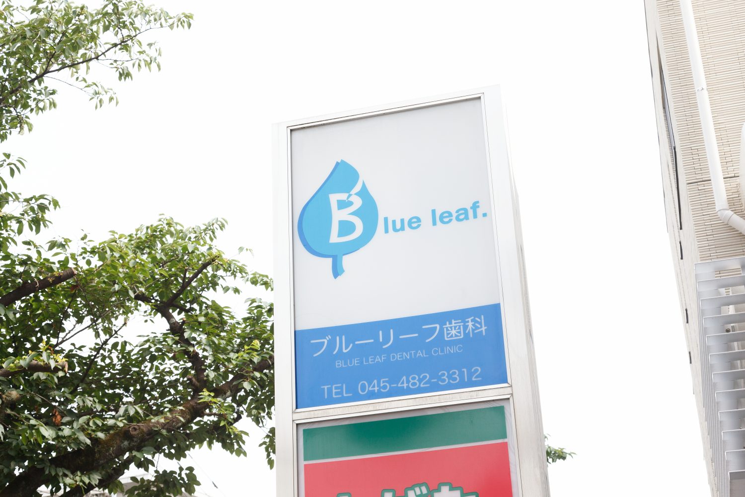 ブルーリーフ歯科photo