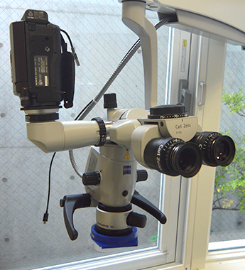 穂積歯科医院photo