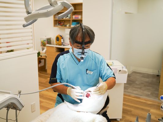 きたで歯科クリニック