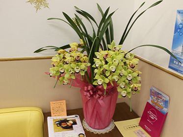 医療法人森川矯正歯科クリニック