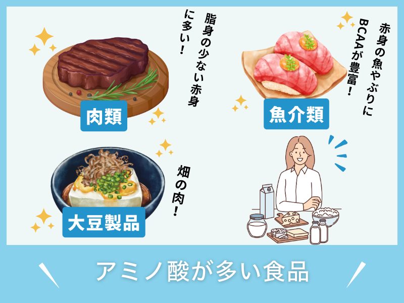 アミノ酸の多い食品