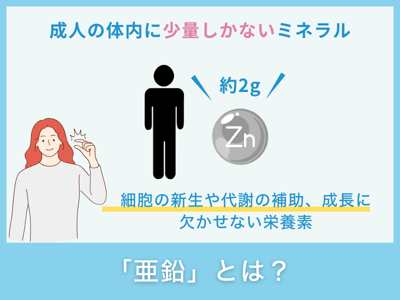 「亜鉛」とは？