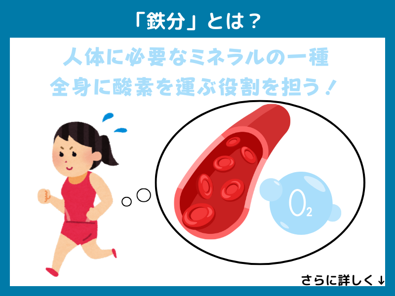 「鉄分」とは？