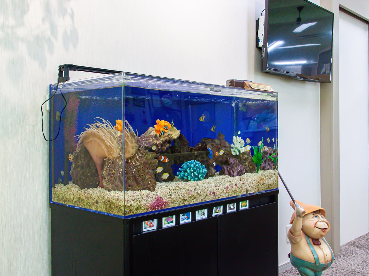 港デンタルクリニックphoto