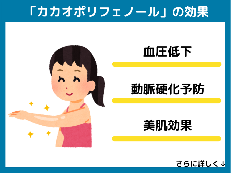 カカオポリフェノールの効果