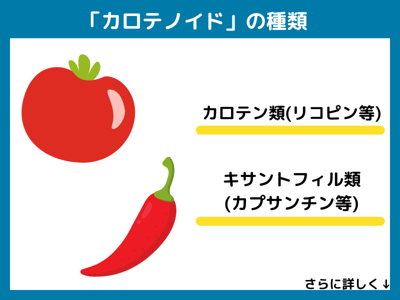 カロテノイドの種類