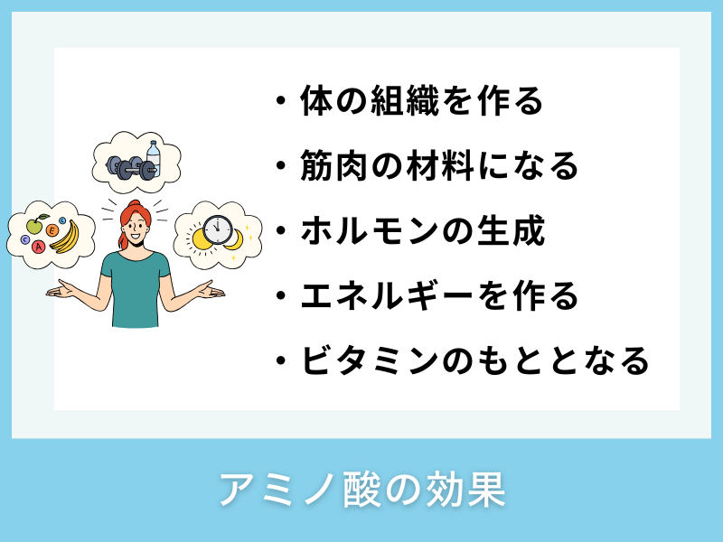アミノ酸の効果