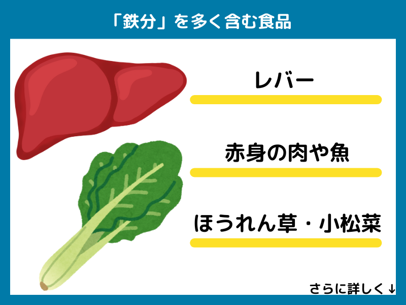 鉄分を多く含む食品
