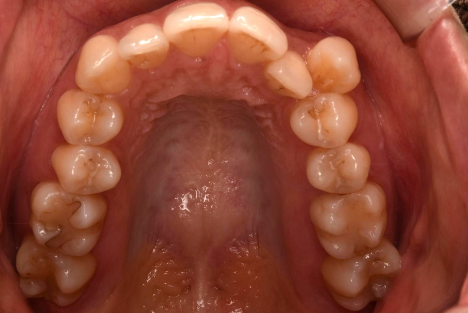 シャングリラデンタル横浜歯科矯正歯科