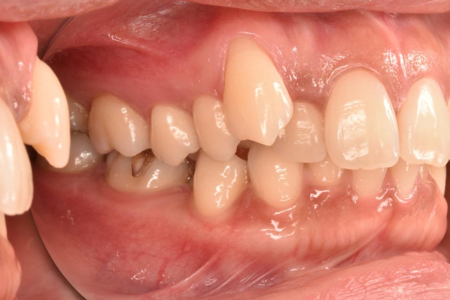 シャングリラデンタル横浜歯科矯正歯科