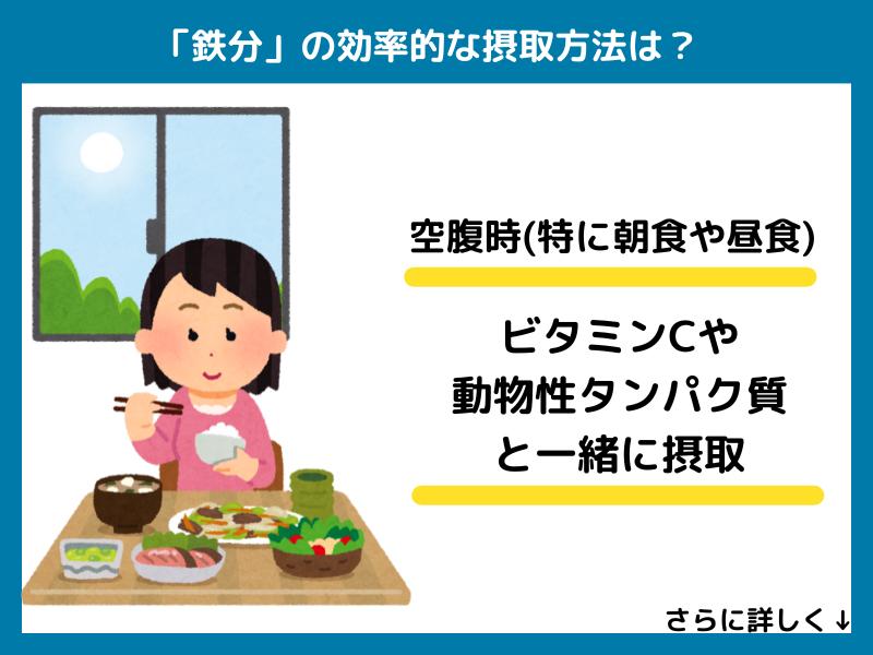 鉄分の効果的な摂取方法