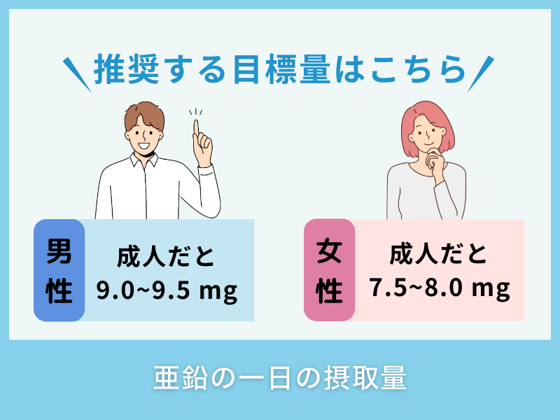亜鉛の一日の摂取量