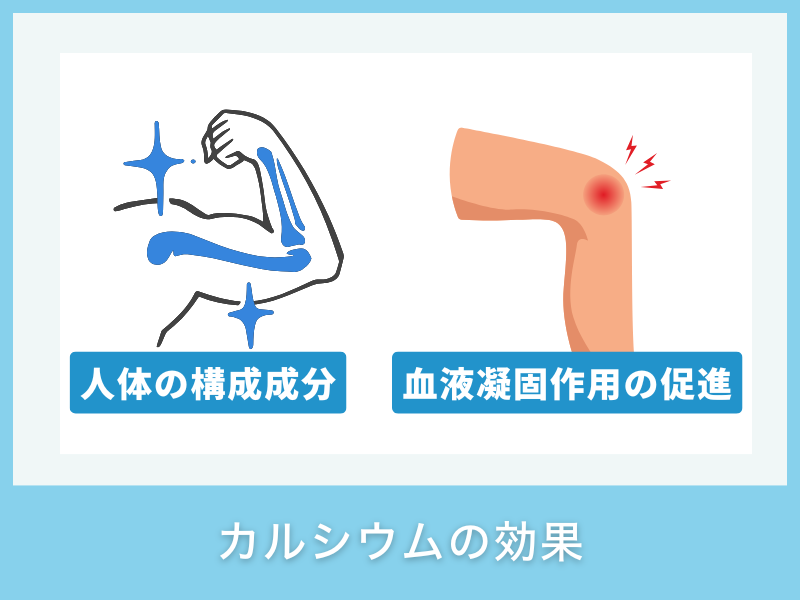 カルシウムの効果