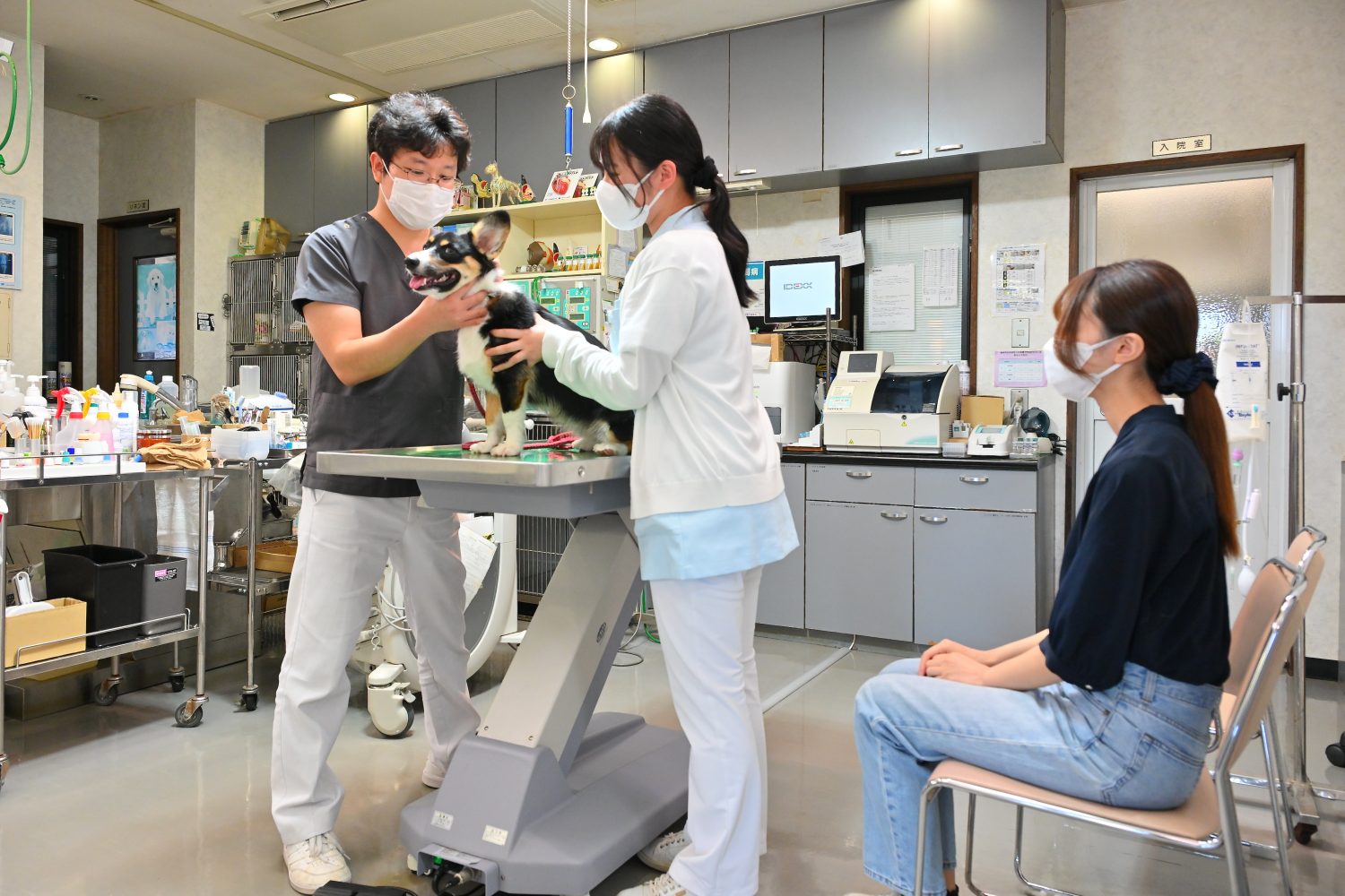 佐野獣医科病院photo