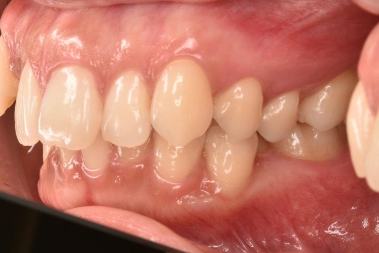 シャングリラデンタル横浜歯科矯正歯科