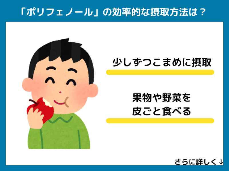 ポリフェノールの効果的な摂取方法