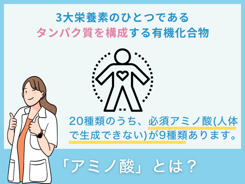 「アミノ酸」とは？