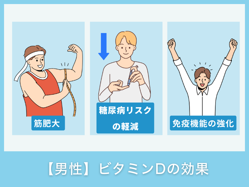 【男性】ビタミンDの効果