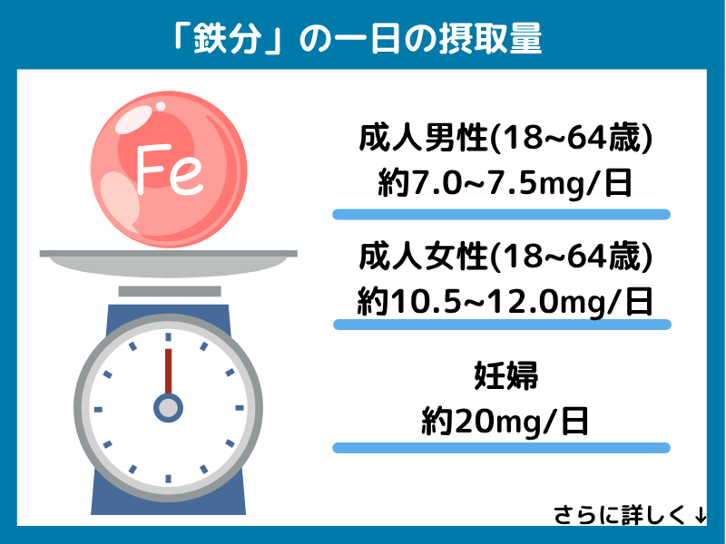 鉄分の一日の摂取量