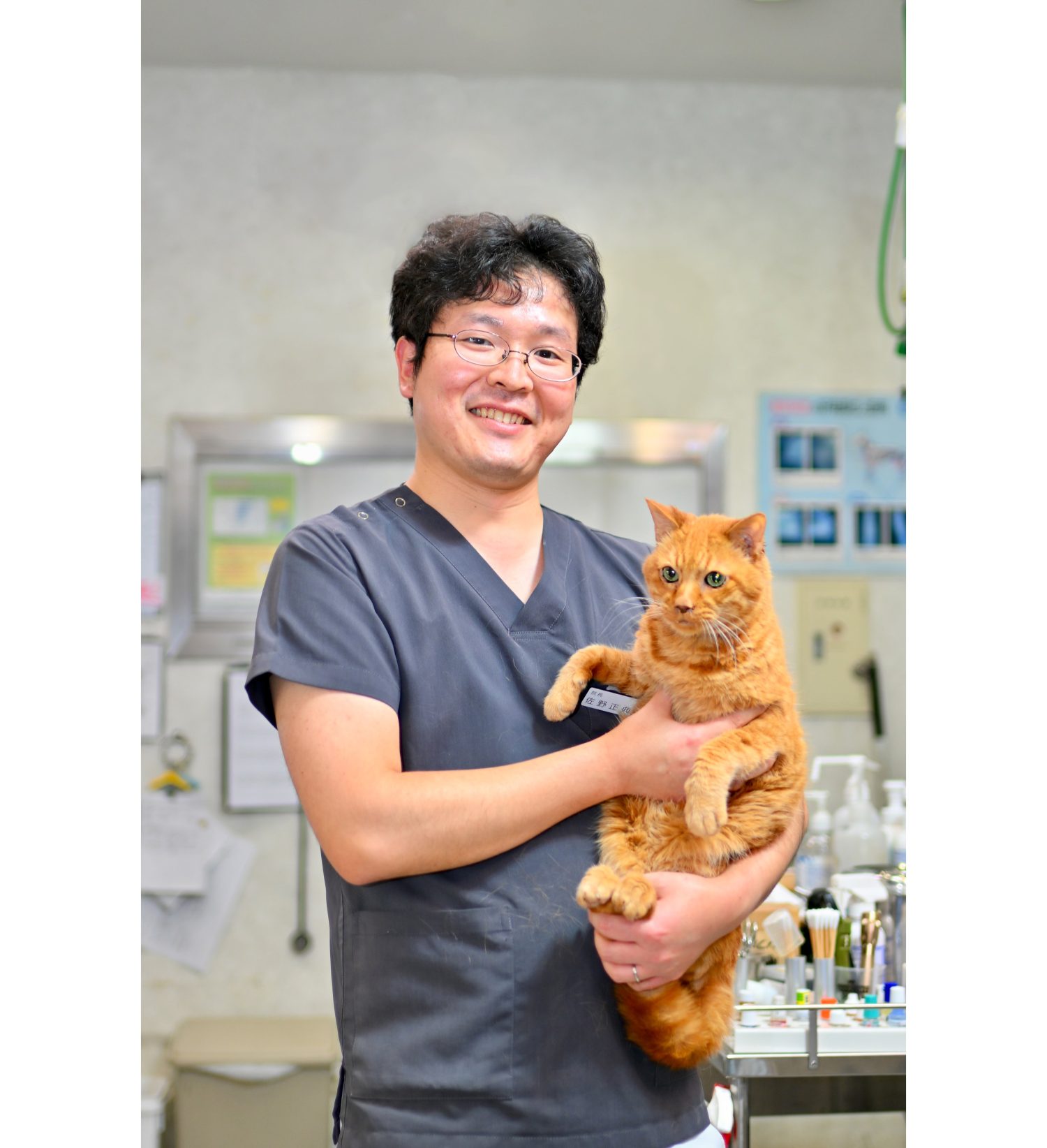 佐野獣医科病院photo