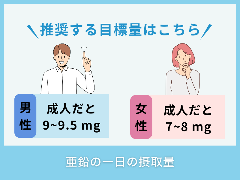 亜鉛の一日の摂取量
