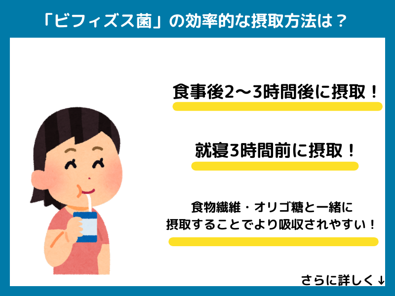 ビフィズス菌の効果的な摂取方法