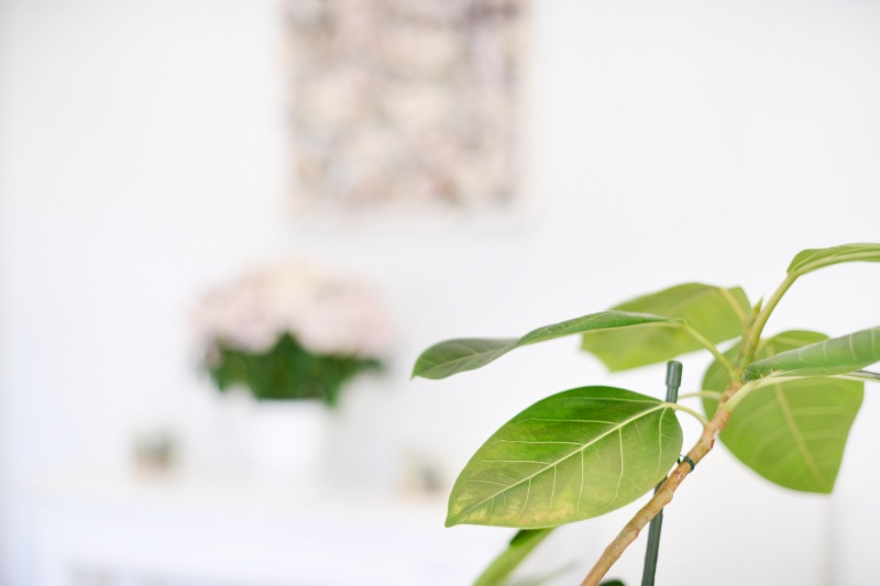 もりやま歯科・矯正歯科クリニックphoto