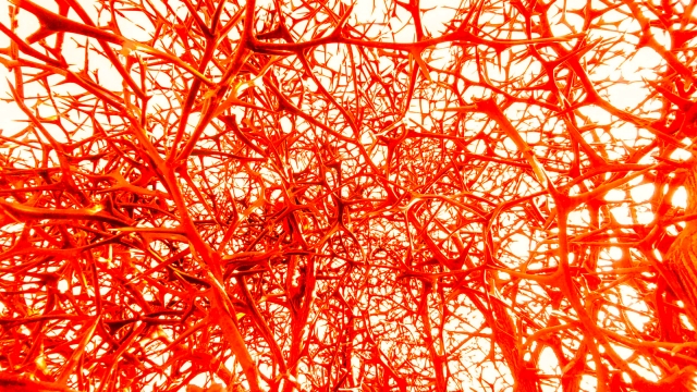 寝たきりの方の足がむくみやすい原因