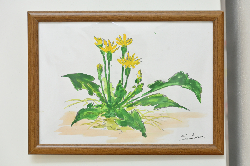 たんぽぽ眼科photo