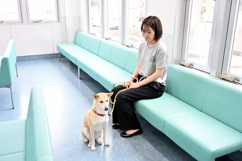 南子安動物病院photo