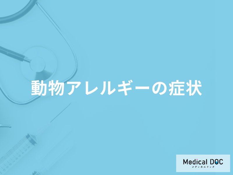 「動物アレルギーの症状」は主に体のどこに現れる?医師が徹底解説!