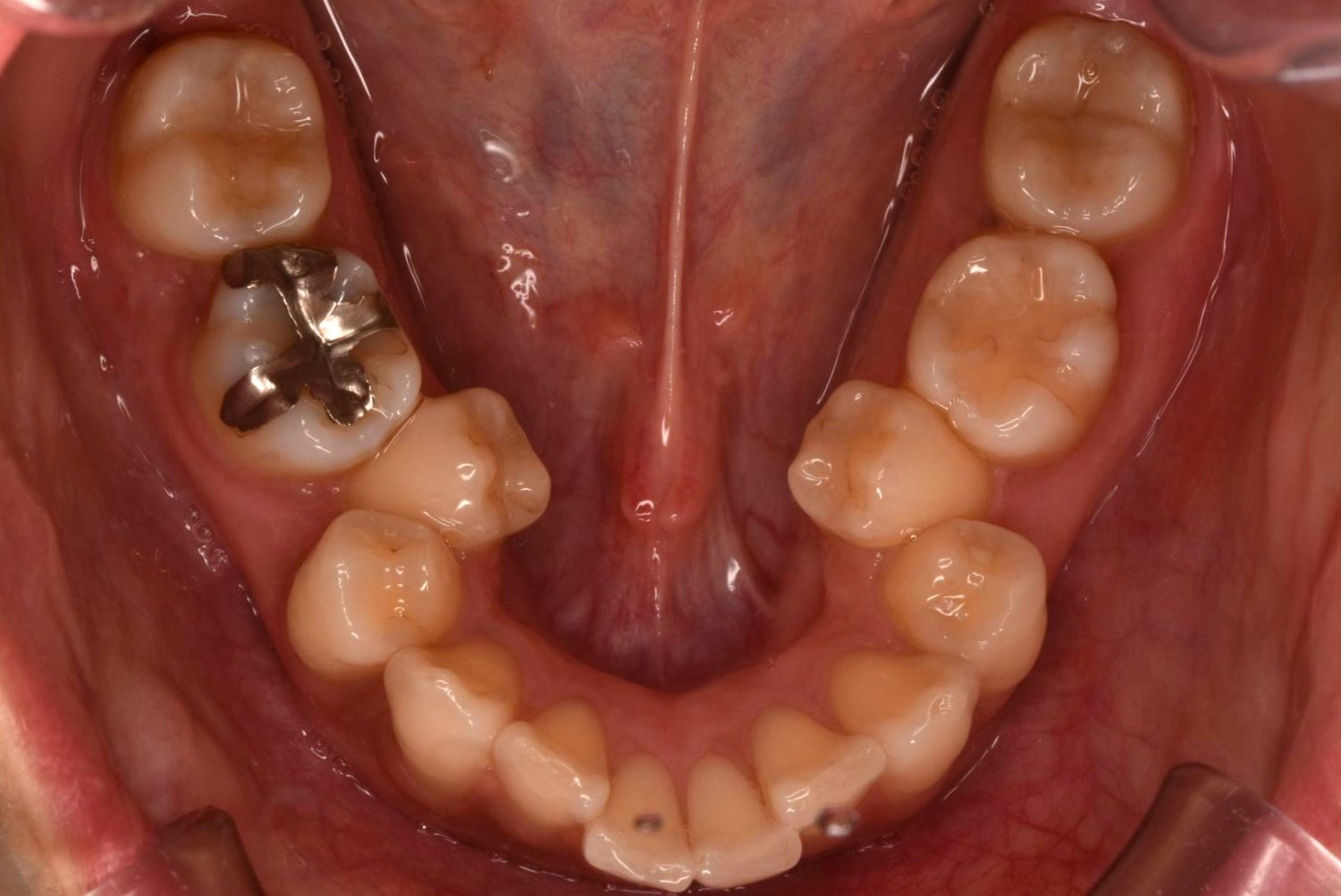 シャングリラデンタル横浜歯科矯正歯科