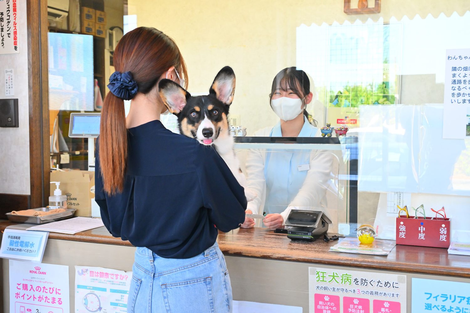 佐野獣医科病院photo