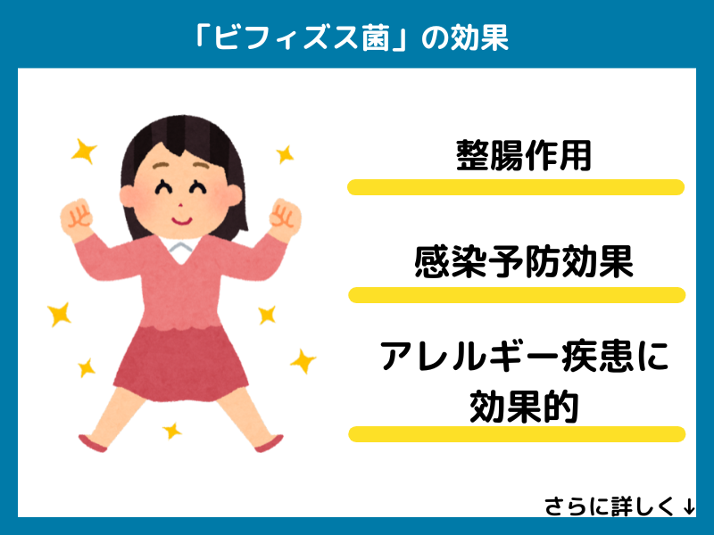 ビフィズス菌の効果