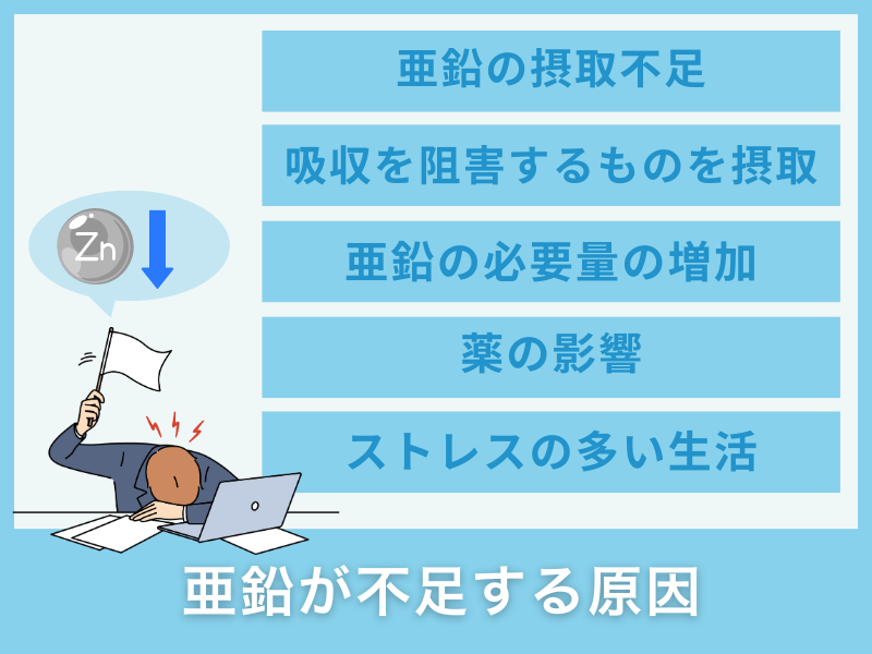 亜鉛が不足する原因