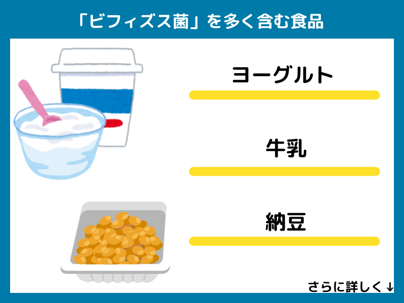 ビフィズス菌を多く含む食品